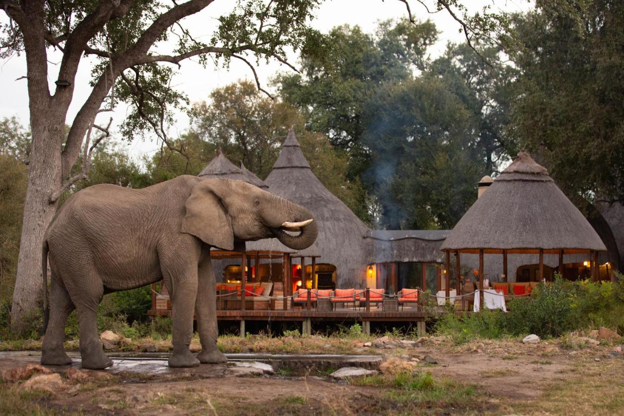 GREATER KRUGER PARK GREATER KRUGER PARK