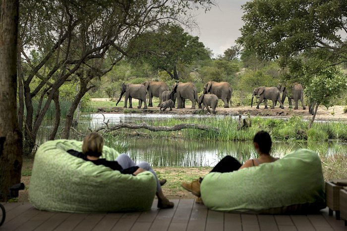 tanda-tula-safari-camp (2) tanda-tula-safari-camp (2)