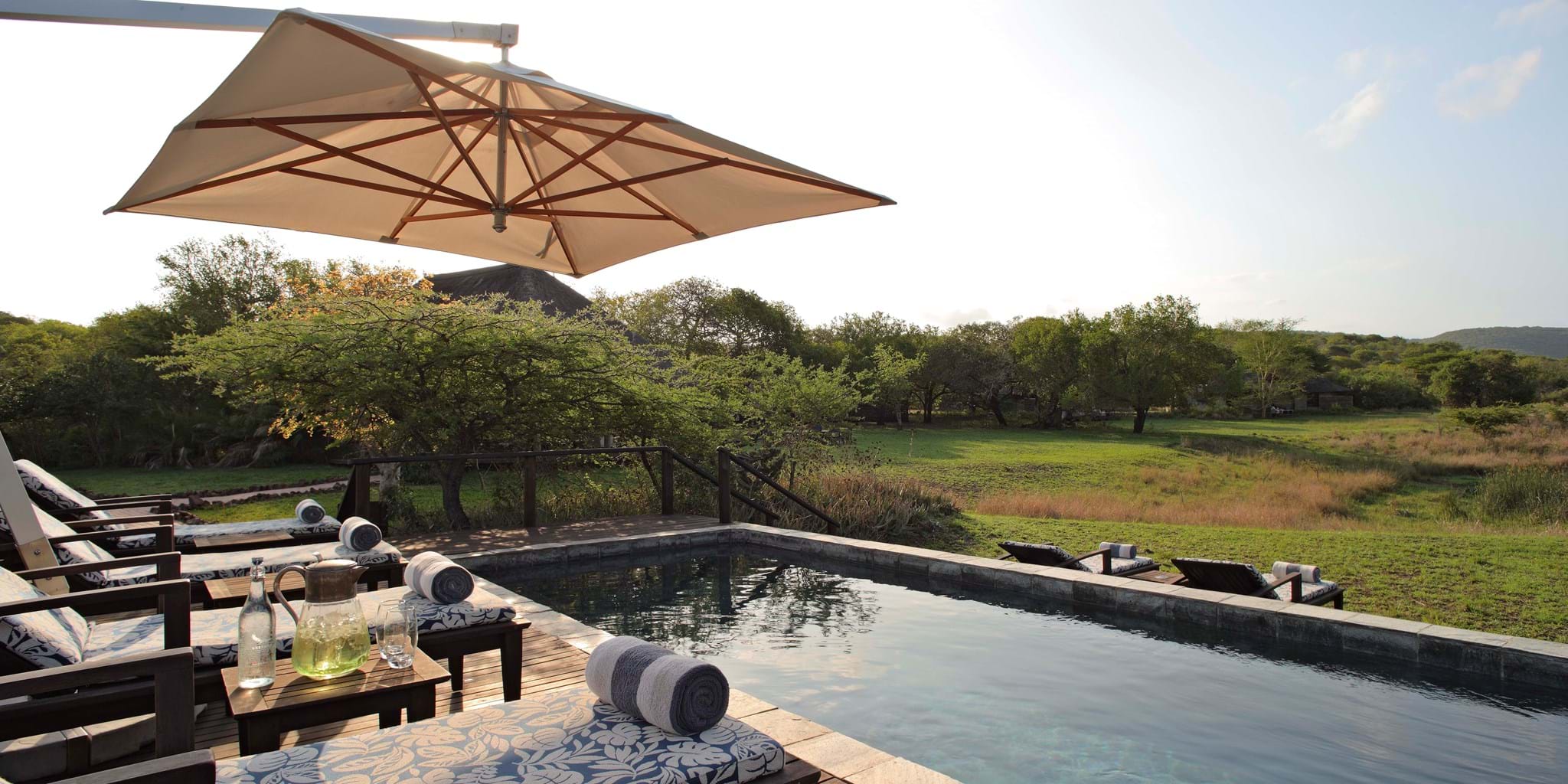phinda-zuka-pool